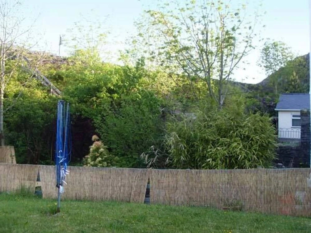 Bamboo Place