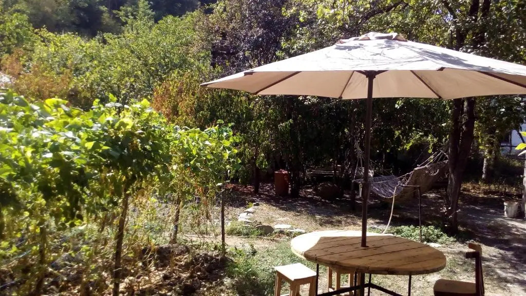 Borjomi Makvalas Guest House