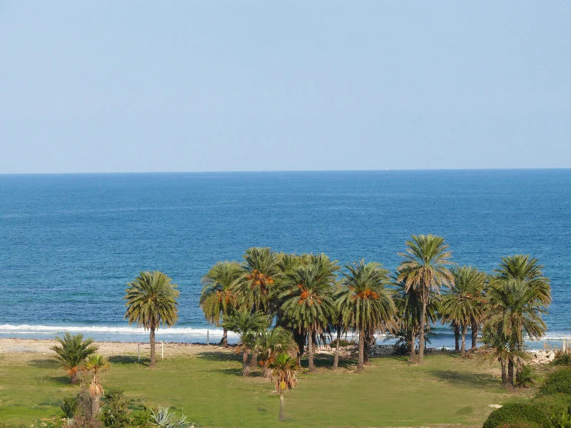 César Palace Sousse