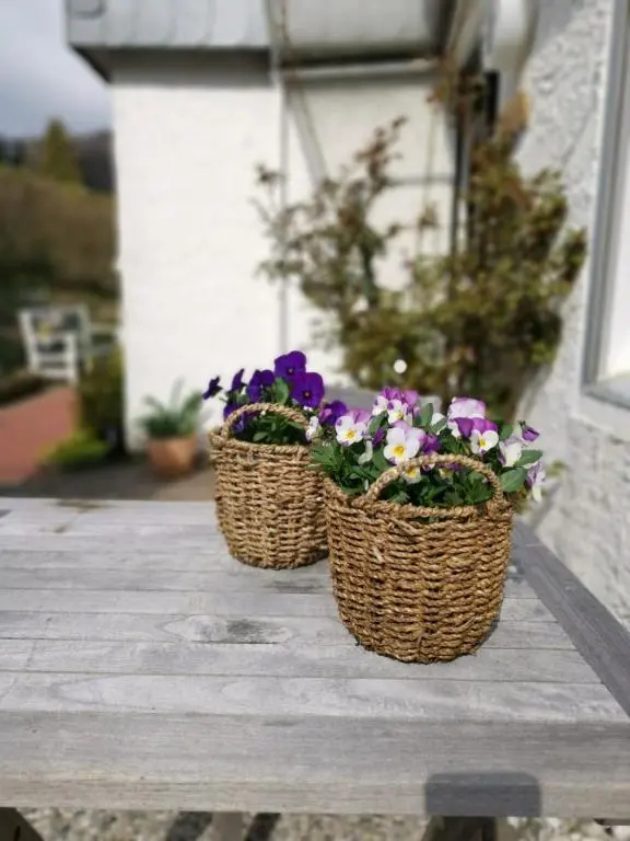 Harzstern Bungalow Studio mit Garten