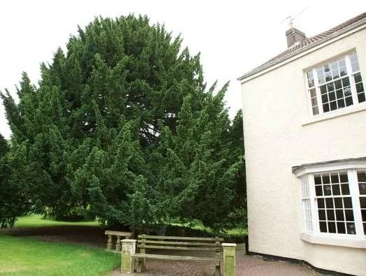 Sniperley Hall B&B