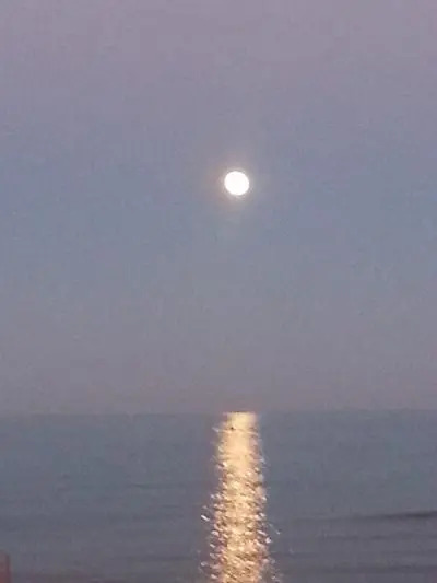 Terrazzo sul mare