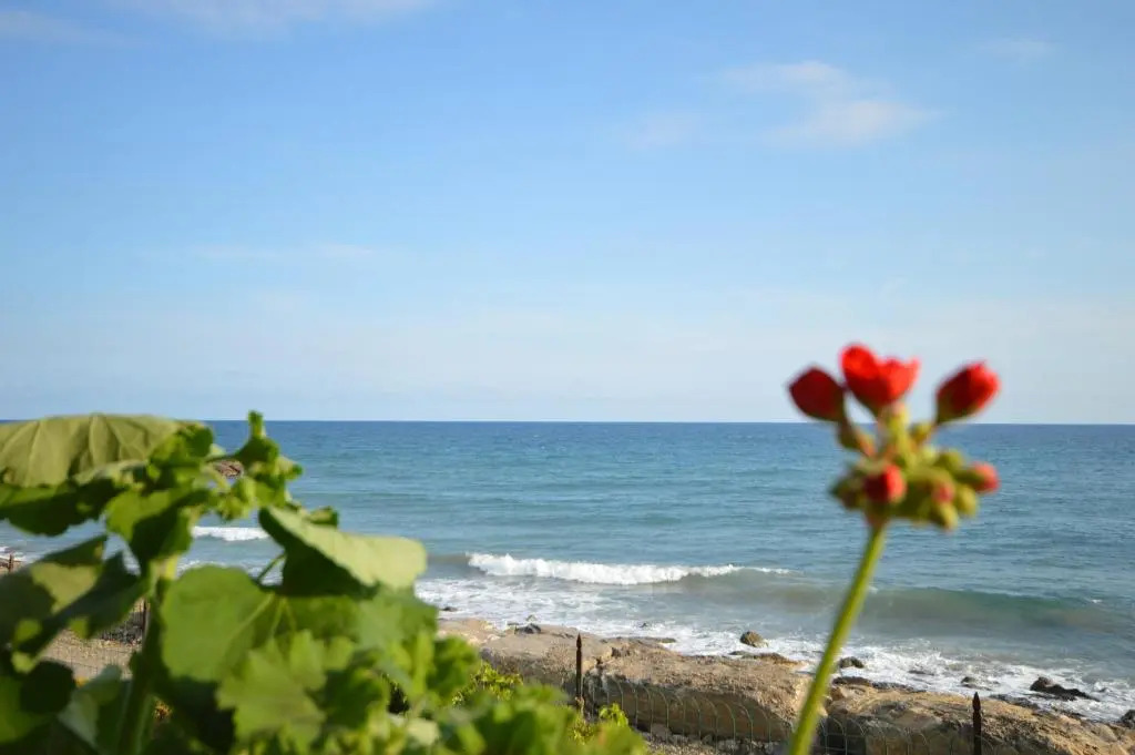 Riva Mare Apartment