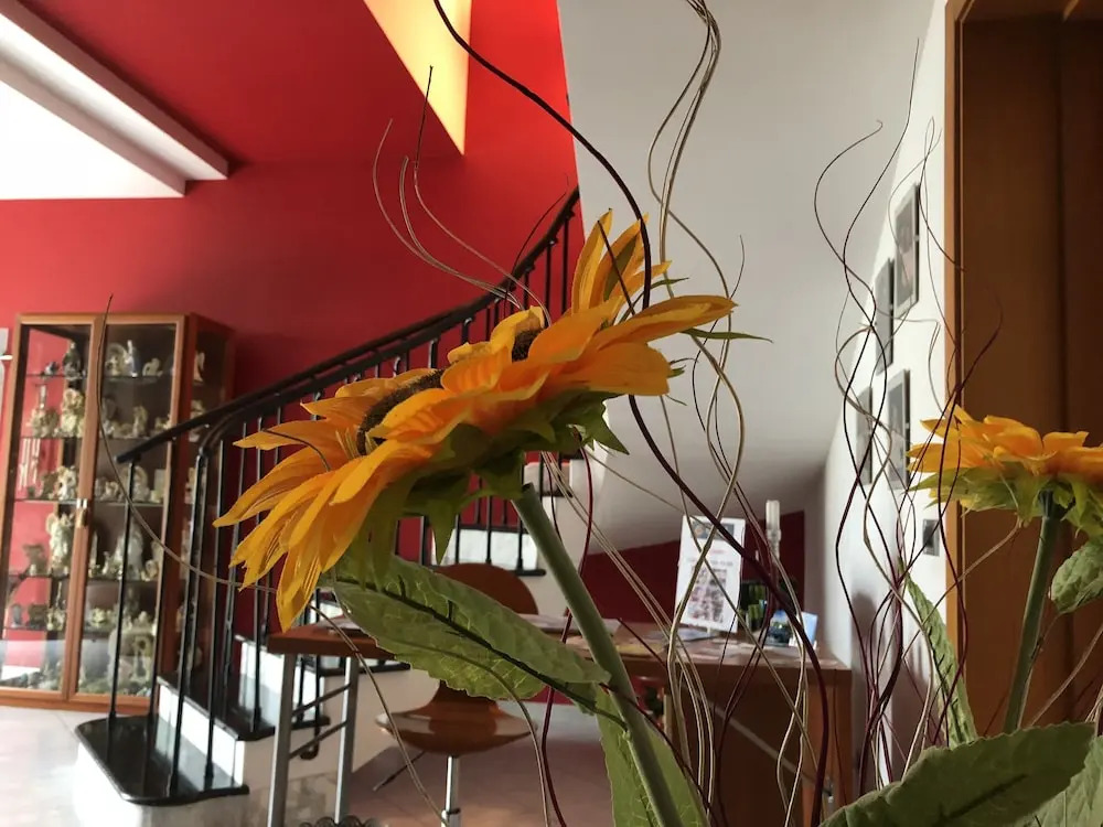 El Nur Bed & Breakfast