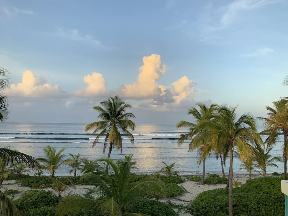 Palms Resort and Beach