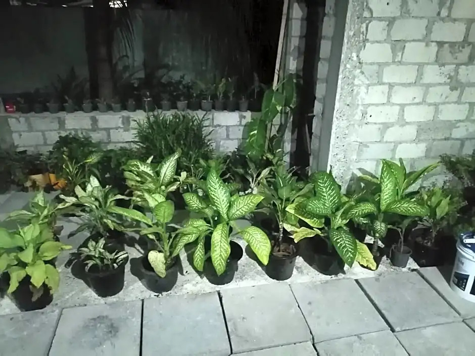 The Rose Garden House, Addu City, Maldives