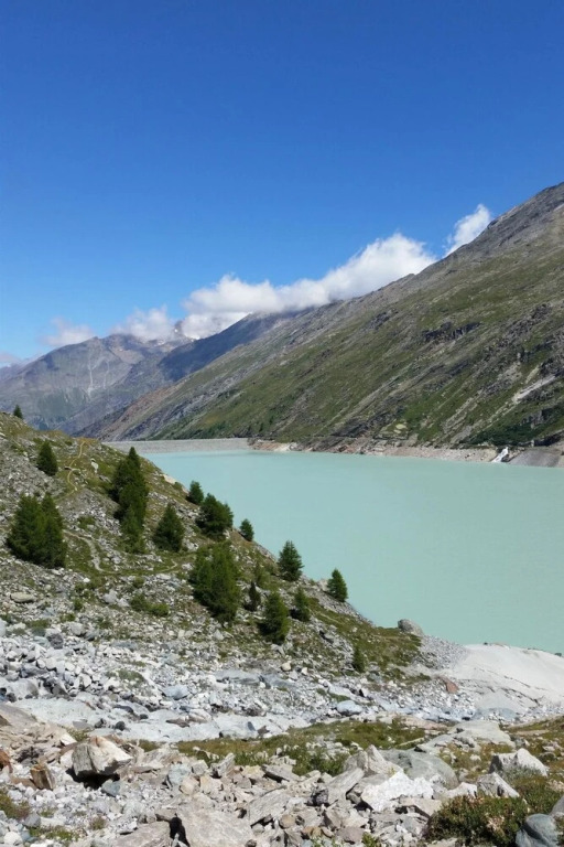 Saasunia Saas-grund in Saas-grund