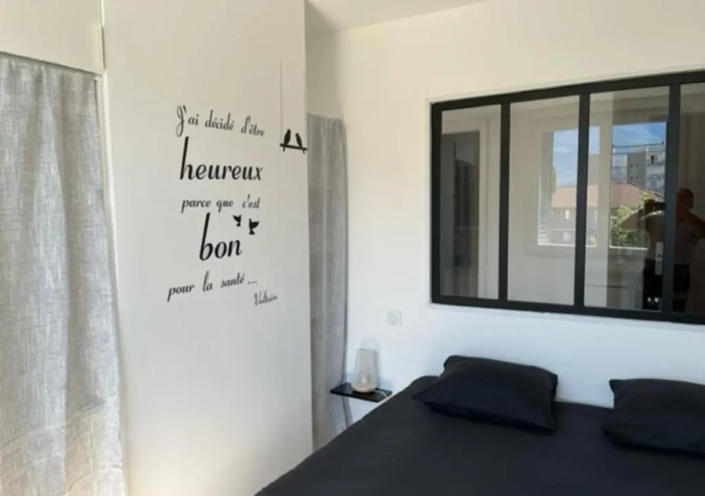 Cosy T2-Gare de Grenoble