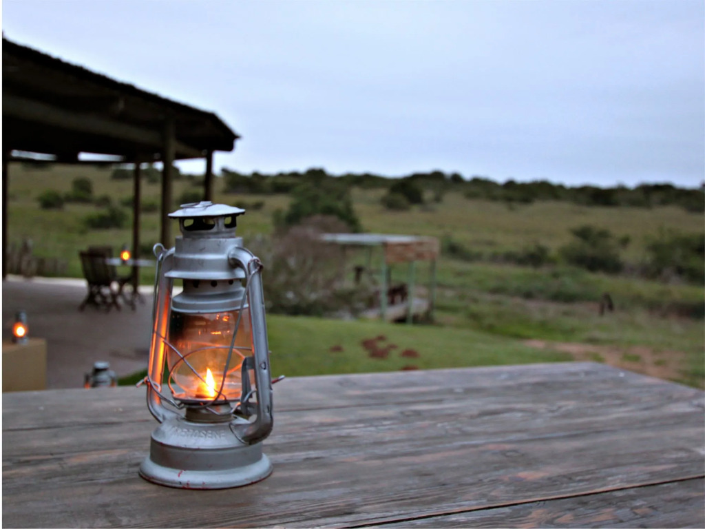 Hlosi Game Lodge - Amakhala Game Reserve