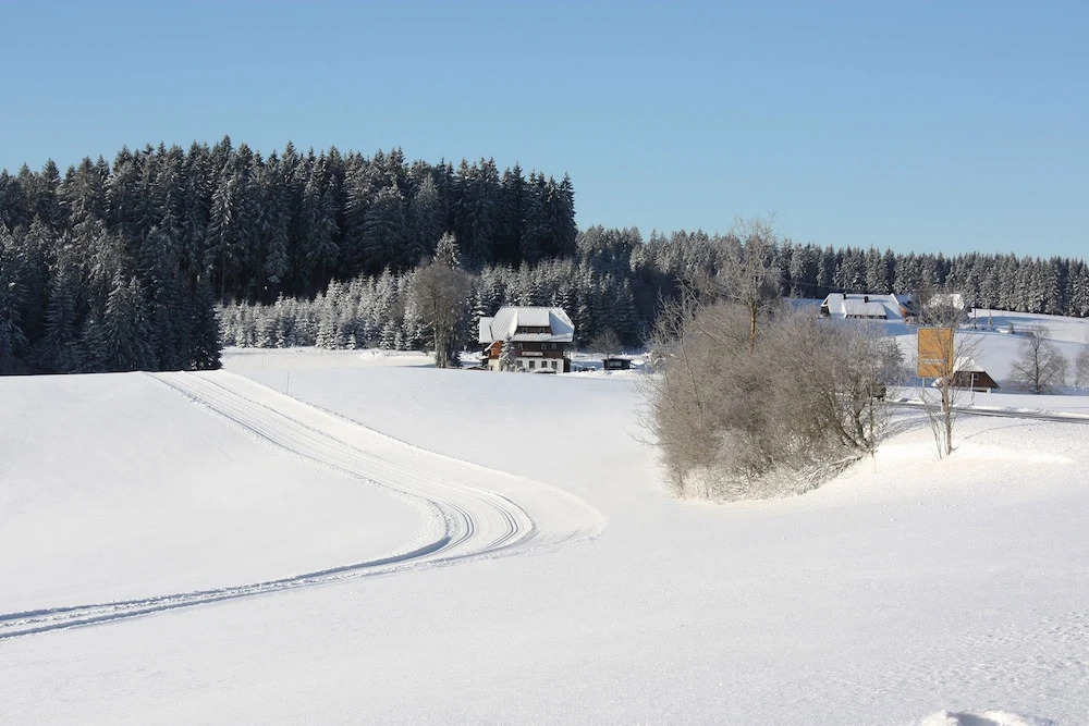 Gasthaus Schweizerhof