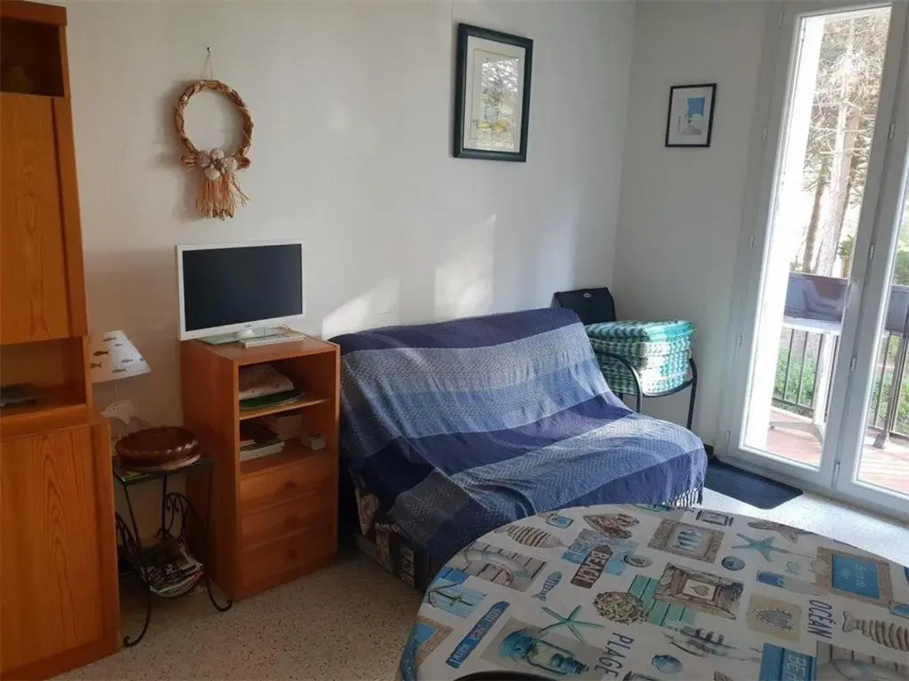 Appartement Argelès-sur-Mer, 2 pièces, 4 personnes - FR-1-388-43