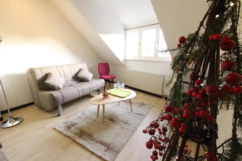 Colmar Historic Center - Cosy Appartement TURENNE 2 - BookingAlsace