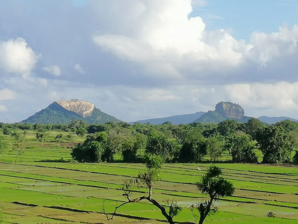 Organic Garden Resort Sigiriya