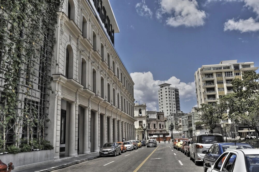Suit Vedado