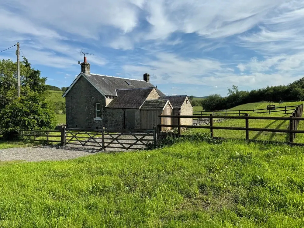 Netherraw