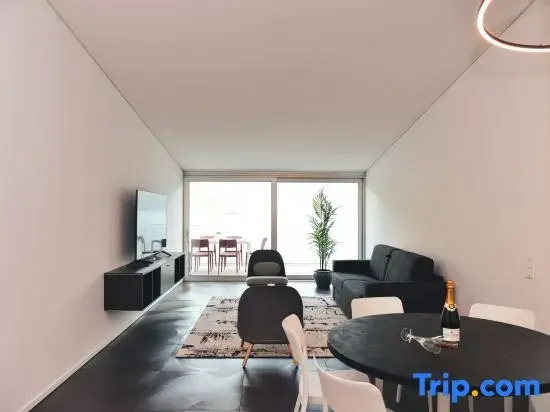 Lakeview Motta Penthouse in Melide