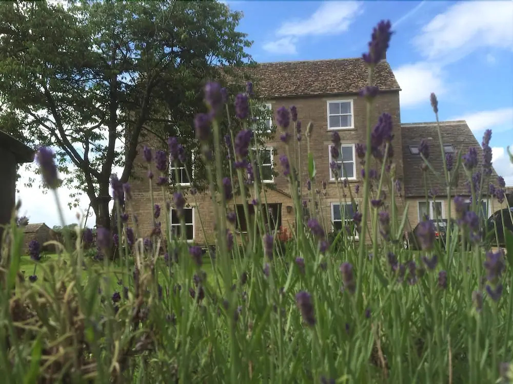 Greyfox House