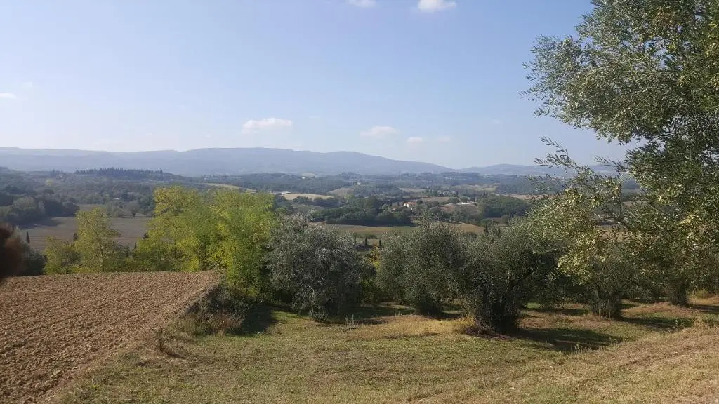 Montevenere 83