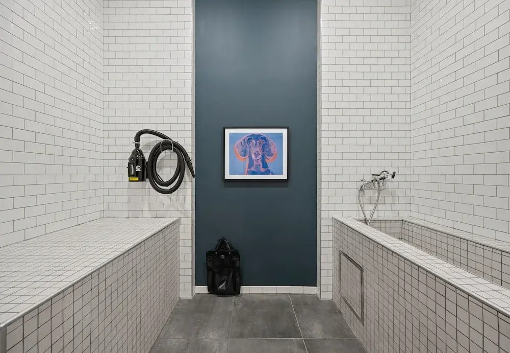 Luxury Apartments by Hyatus Boston Somerville
