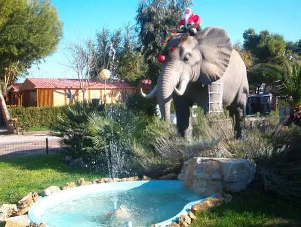 Camping lAlqueria