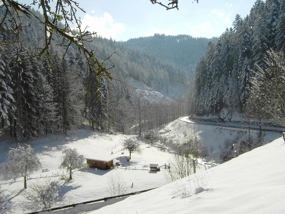 Holiday Home Near the Forest in Oppenau