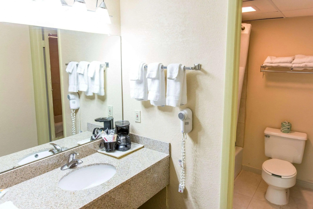 Quality Inn & Suites Big Rapids near University