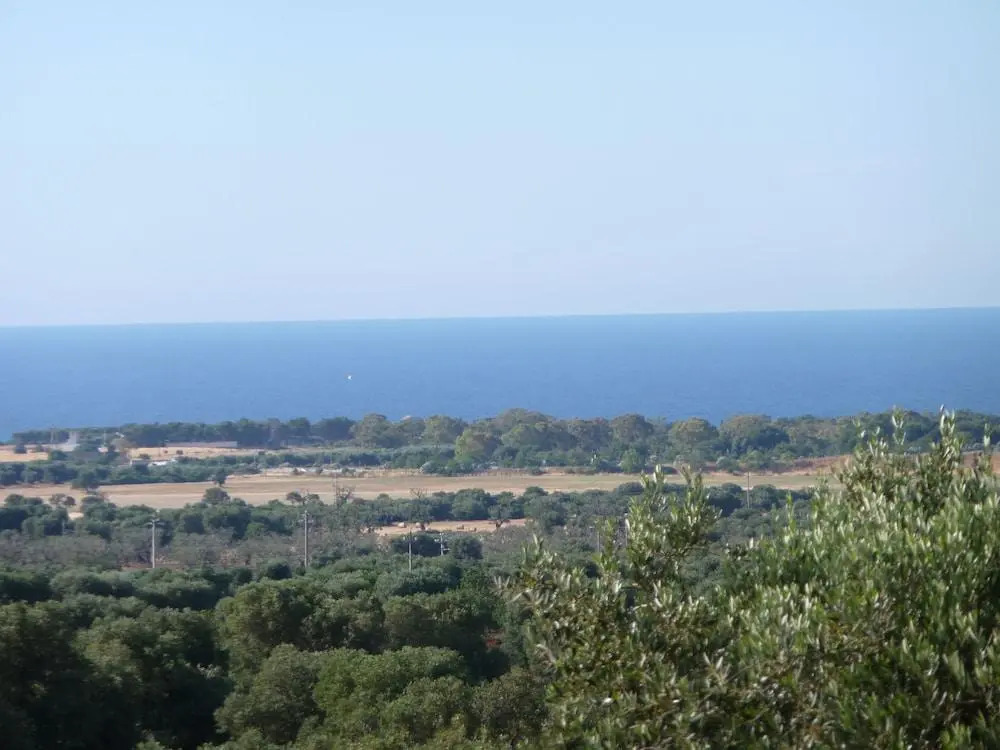 Villa Livia