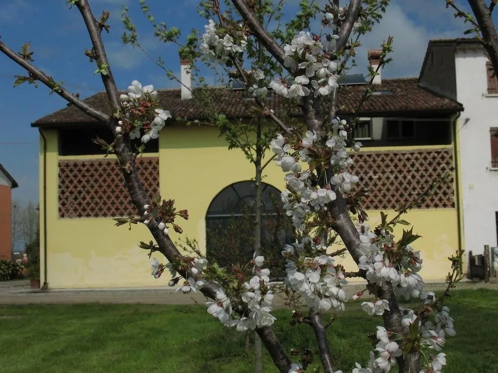 B&B Corte Cornalino