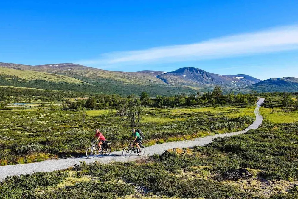 Live in the Realm of the Musk Oxen on Dovrefjell