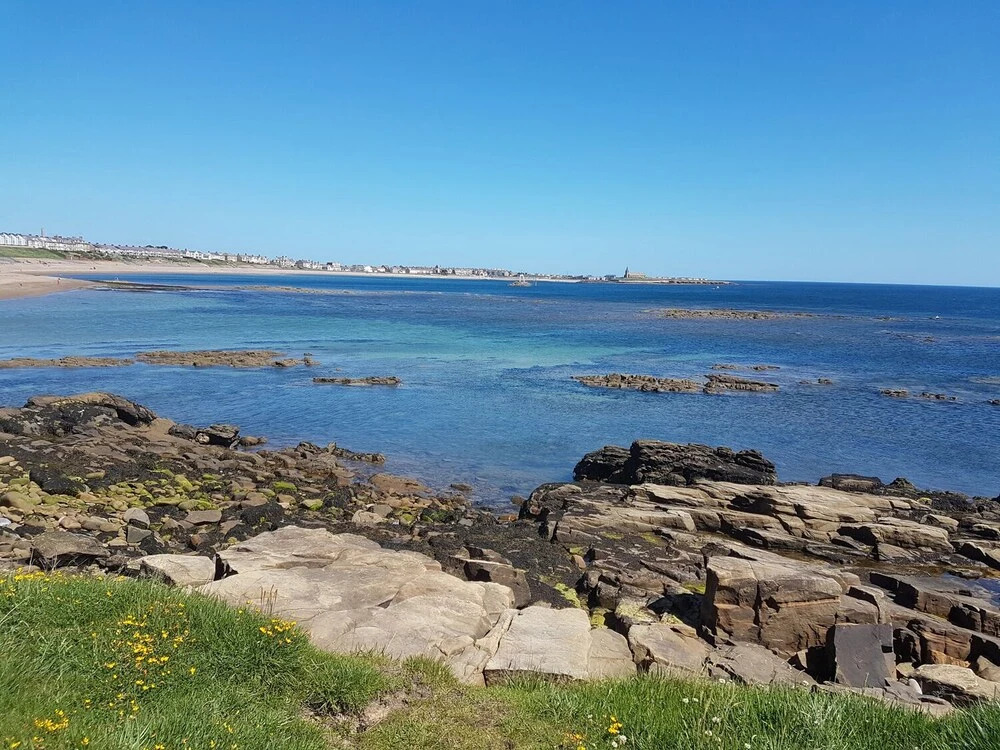 Beach Cove View