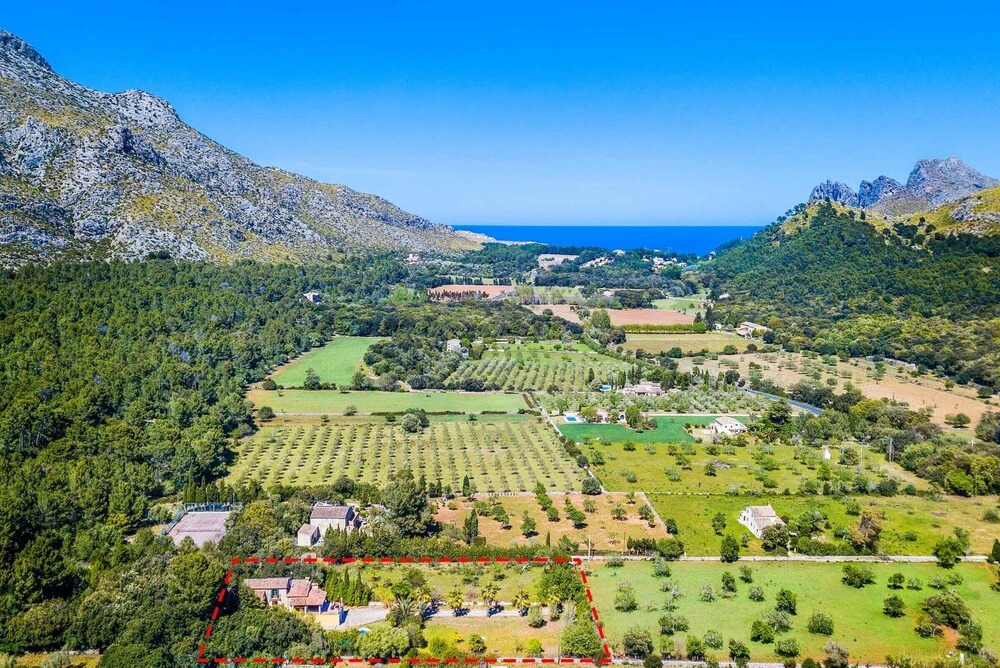 Finca Tomas