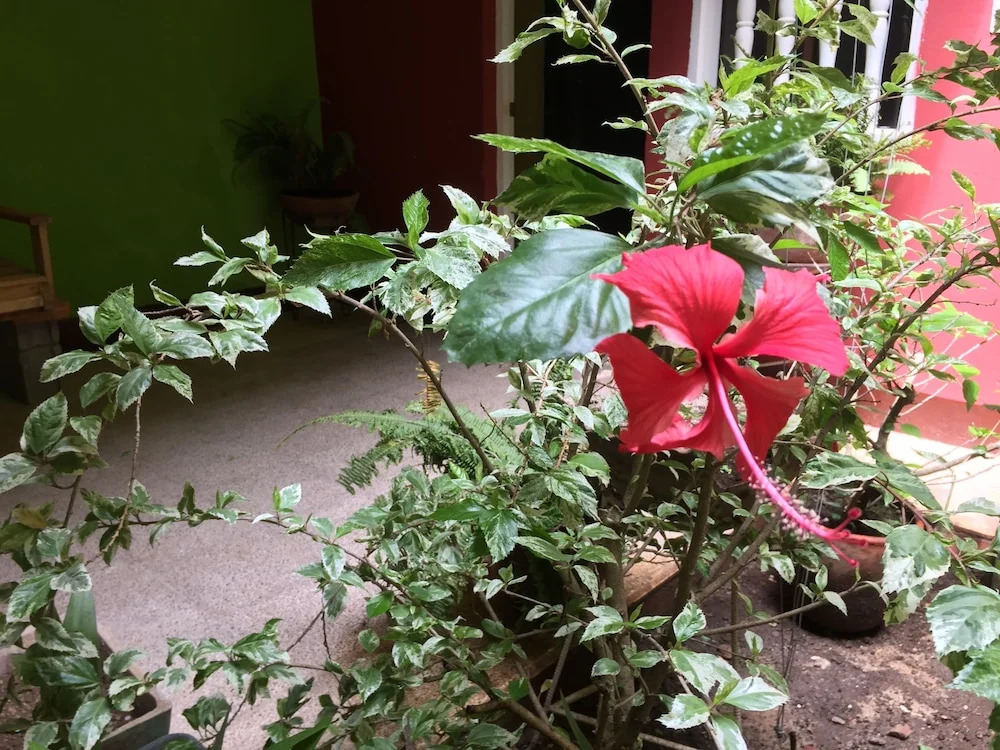 El Caite Hostel