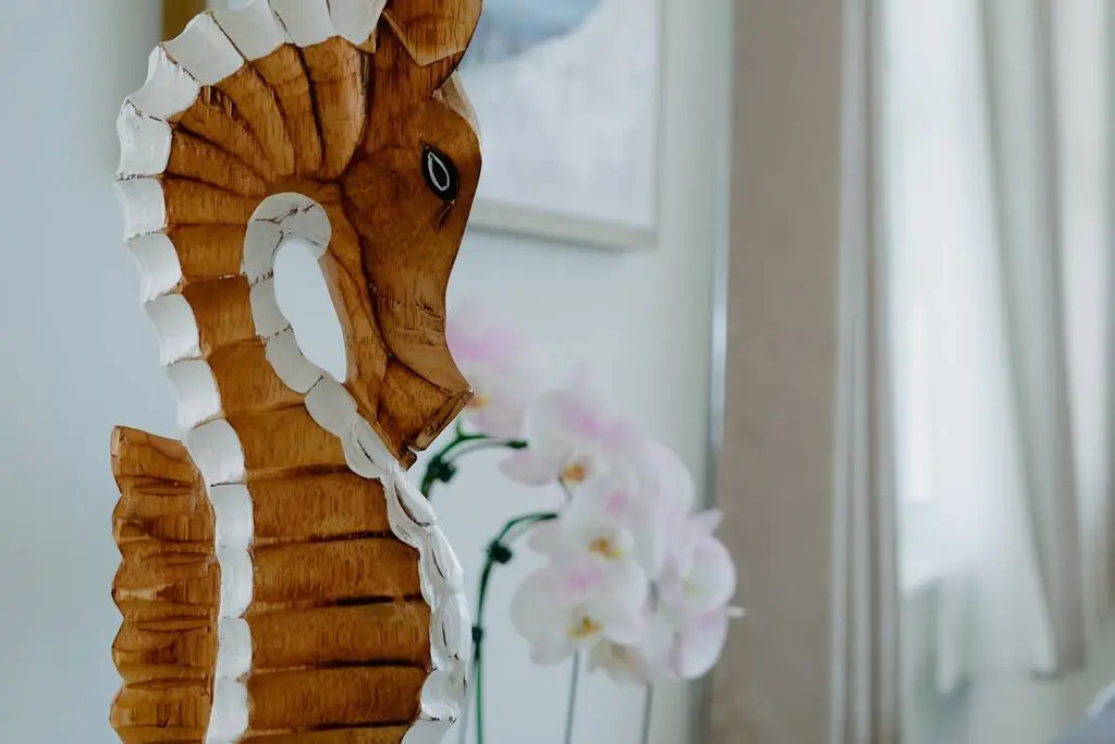 Seahorse Condo 5B in Fort Lauderdale