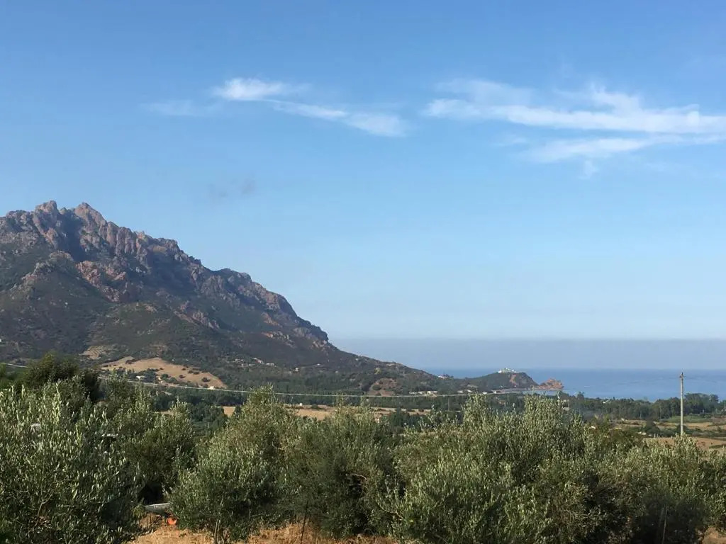 Villa Verde
