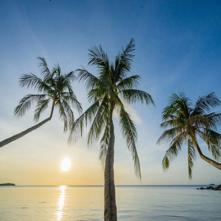 Samui Paradise Chaweng Beach Resort