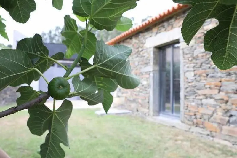 Quinta dos Avidagos - AgroTurismo, Mirandela