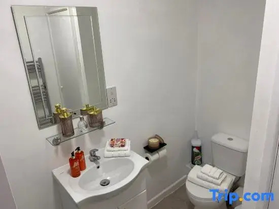 Stylish Apartment in Watford