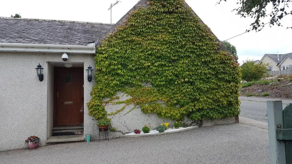 Lilyoak Bed & Breakfast