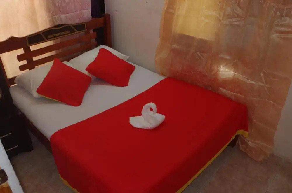 New Iguana House Hostel