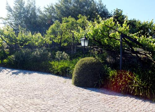 Family Secrets Douro