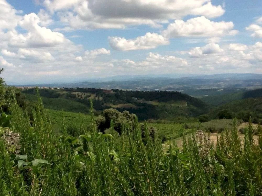 Residence Borgo Alto