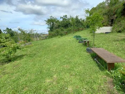 Cabanelas Country House - Casa do Afonso