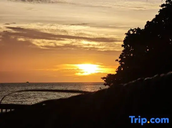 Goroadventures and Dive Resort