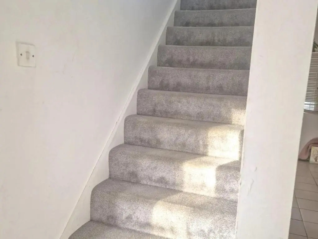 Stunning 3-bed House in London With Free Parking