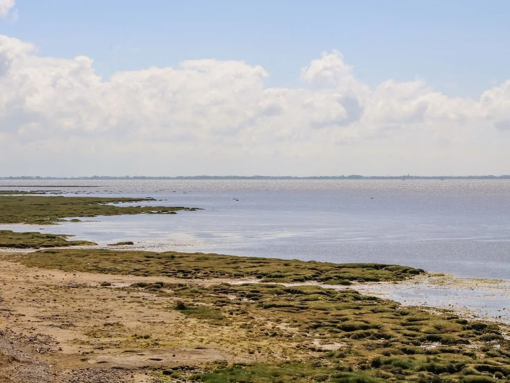 Shorefields Two