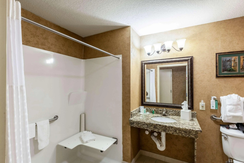 Comfort Suites Alamo-River walk
