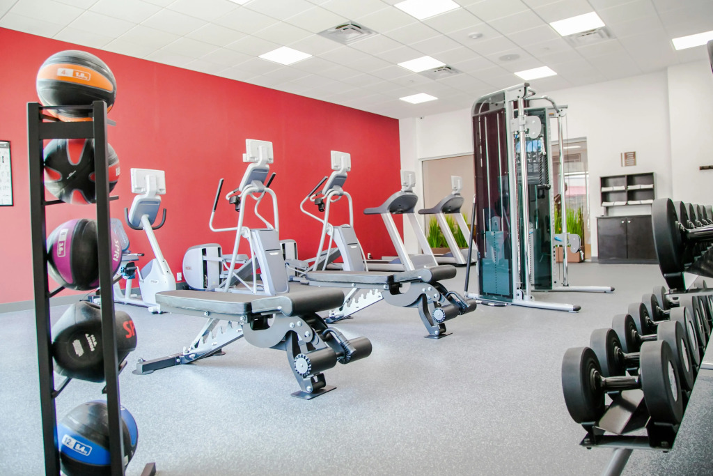 Hilton Garden Inn Tampa Suncoast Parkway