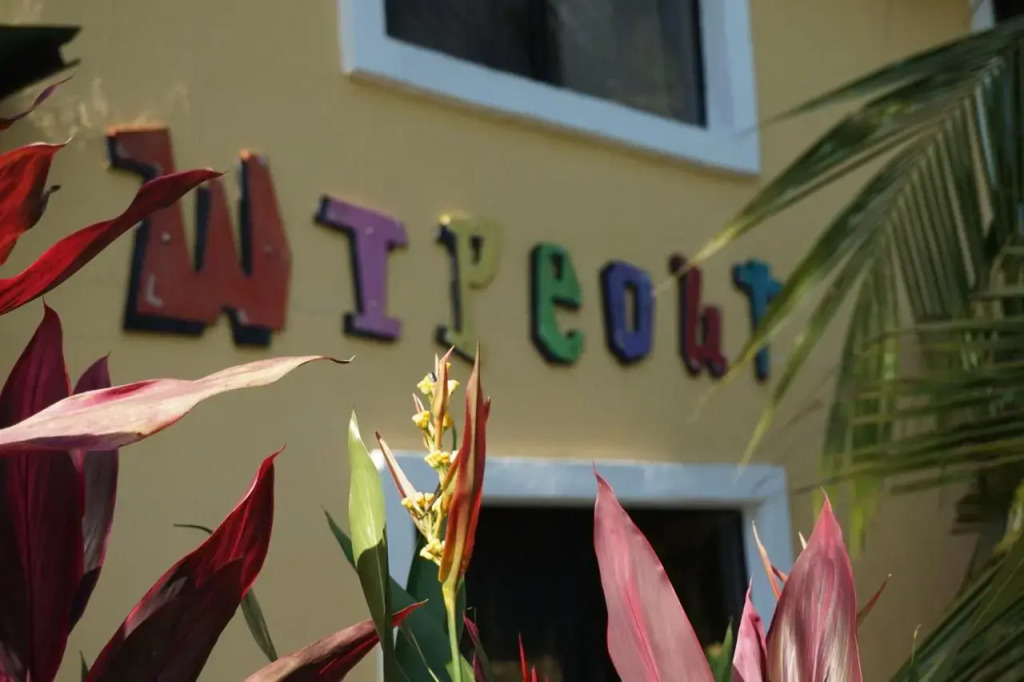 Wipeout Guest House
