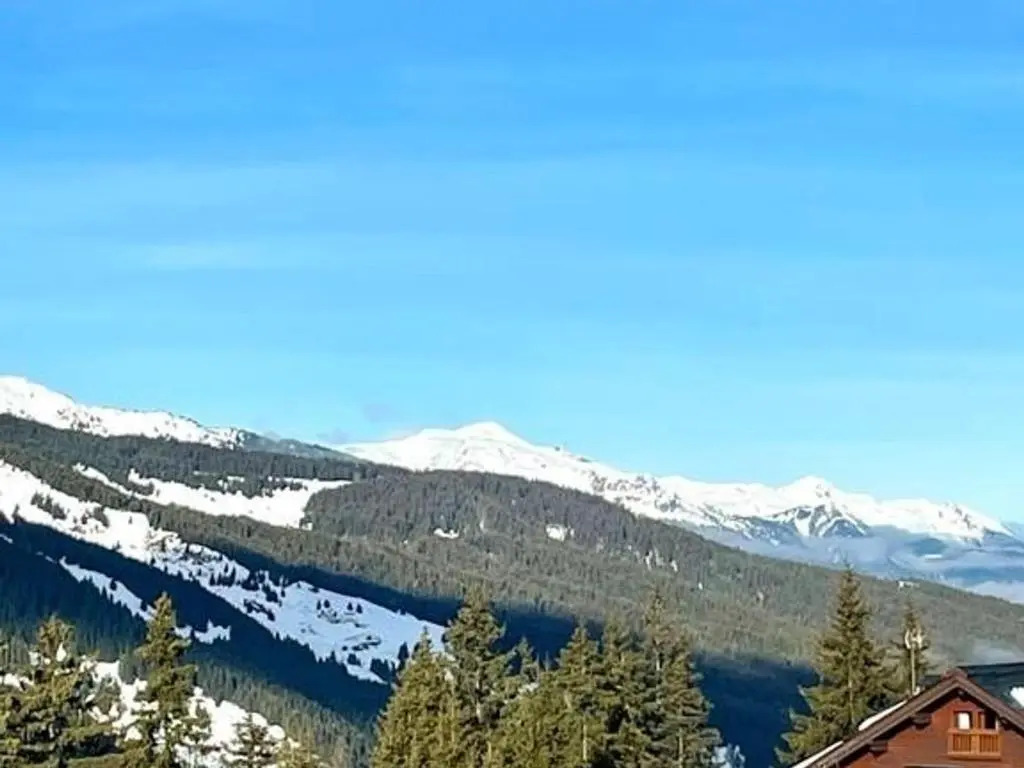 Appartement Méribel, 1 pièce, 2 personnes - FR-1-180-572
