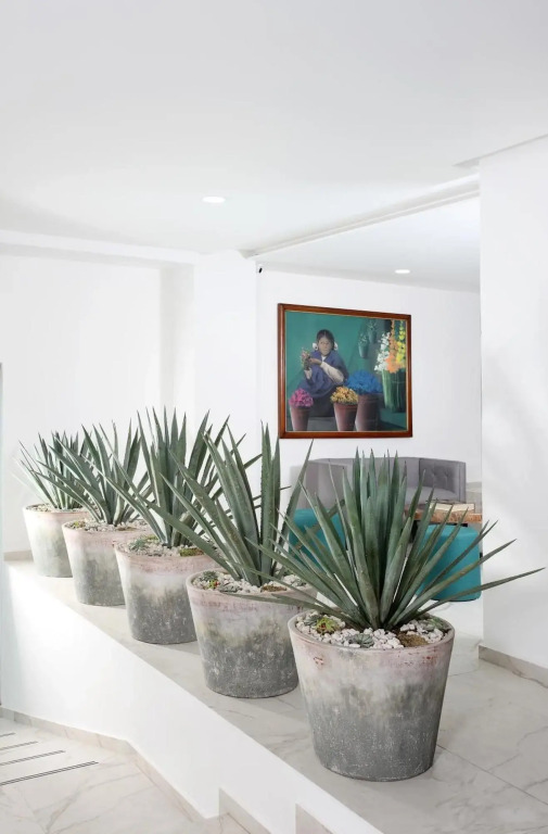 Hotel Círculo Condesa